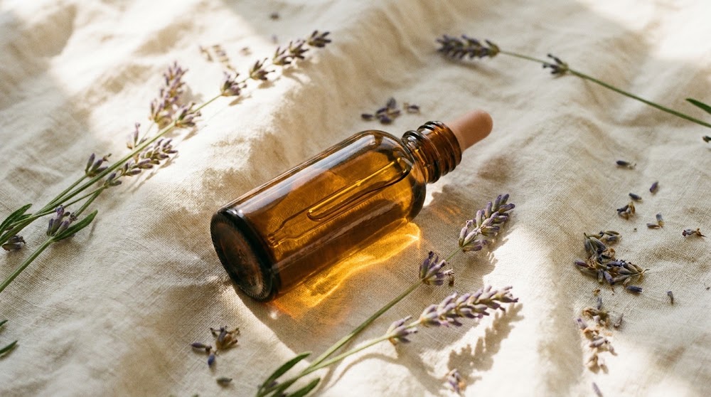 Lavendel (Lavandula angustifolia)